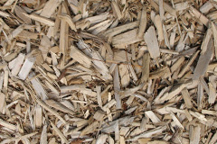 biomass boilers Writtle